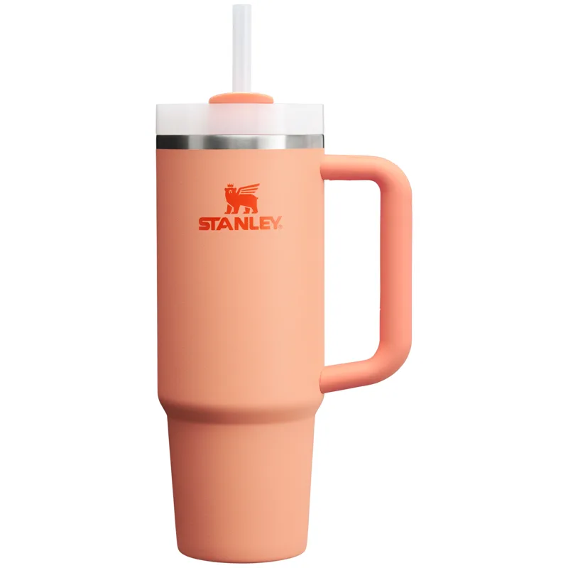 Stanley Quencher H2.0 FlowState 30oz
